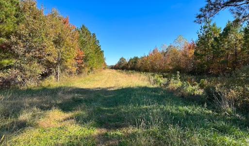 Photo #56 of 467 AC Baum Rd VA & 266 Ac W  Gibbs Rd Currituck Co NC, Currituck, NC 733.0 acres