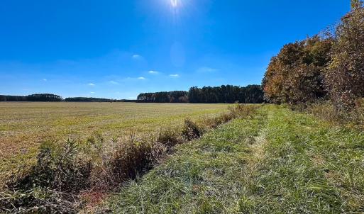 Photo #3 of 467 AC Baum Rd VA & 266 Ac W  Gibbs Rd Currituck Co NC, Virginia Beach, VA 733.0 acres