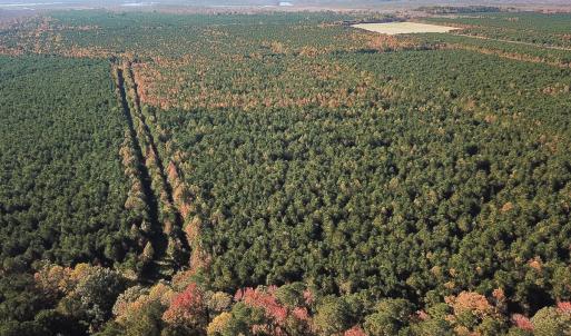 Photo #7 of 467 AC Baum Rd VA & 266 Ac W  Gibbs Rd Currituck Co NC, Virginia Beach, VA 733.0 acres