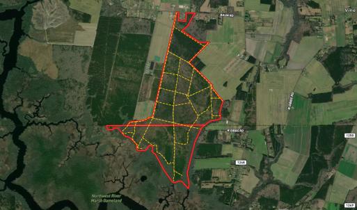 Photo #5 of 467 AC Baum Rd VA & 266 Ac W  Gibbs Rd Currituck Co NC, Virginia Beach, VA 733.0 acres