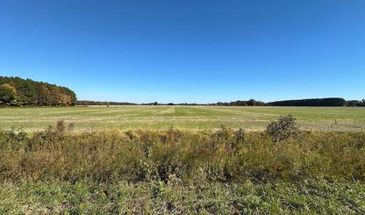 Photo #10 of 467 AC Baum Rd VA & 266 Ac W  Gibbs Rd Currituck Co NC, Virginia Beach, VA 733.0 acres