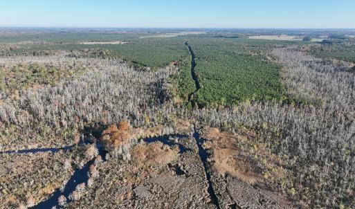 Photo #14 of 467 AC Baum Rd VA & 266 Ac W  Gibbs Rd Currituck Co NC, Virginia Beach, VA 733.0 acres