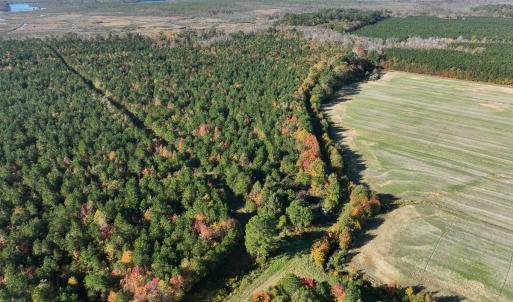 Photo #4 of 467 AC Baum Rd VA & 266 Ac W  Gibbs Rd Currituck Co NC, Virginia Beach, VA 733.0 acres