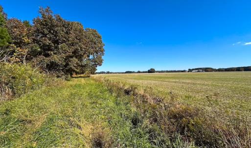 Photo #23 of 467 AC Baum Rd VA & 266 Ac W  Gibbs Rd Currituck Co NC, Virginia Beach, VA 733.0 acres