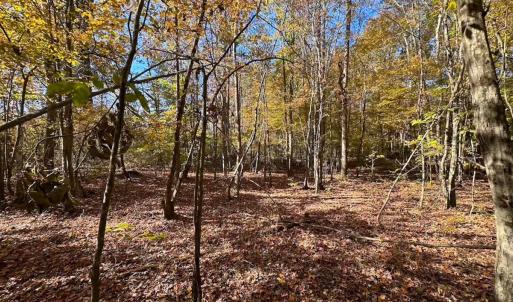 Photo #24 of 467 AC Baum Rd VA & 266 Ac W  Gibbs Rd Currituck Co NC, Virginia Beach, VA 733.0 acres