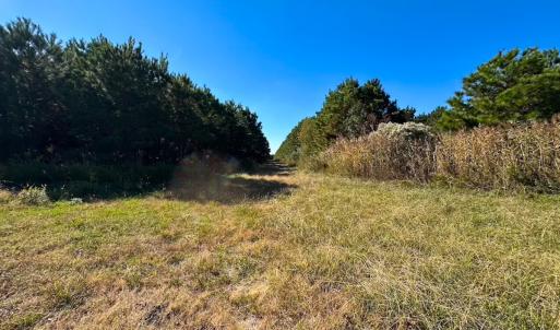 Photo #36 of 467 AC Baum Rd VA & 266 Ac W  Gibbs Rd Currituck Co NC, Virginia Beach, VA 733.0 acres