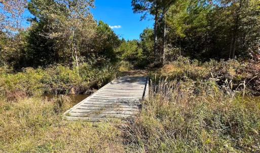 Photo #42 of 467 AC Baum Rd VA & 266 Ac W  Gibbs Rd Currituck Co NC, Virginia Beach, VA 733.0 acres