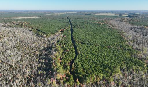 Photo #51 of 467 AC Baum Rd VA & 266 Ac W  Gibbs Rd Currituck Co NC, Virginia Beach, VA 733.0 acres