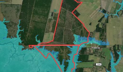 Photo #49 of 467 AC Baum Rd VA & 266 Ac W  Gibbs Rd Currituck Co NC, Virginia Beach, VA 733.0 acres