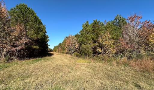 Photo #52 of 467 AC Baum Rd VA & 266 Ac W  Gibbs Rd Currituck Co NC, Virginia Beach, VA 733.0 acres