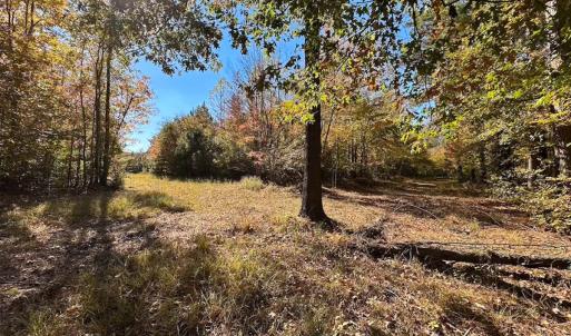 Photo #53 of 467 AC Baum Rd VA & 266 Ac W  Gibbs Rd Currituck Co NC, Virginia Beach, VA 733.0 acres
