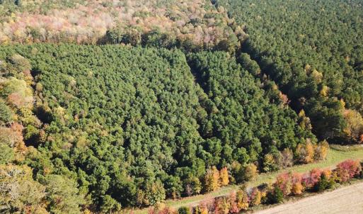 Photo #54 of 467 AC Baum Rd VA & 266 Ac W  Gibbs Rd Currituck Co NC, Virginia Beach, VA 733.0 acres