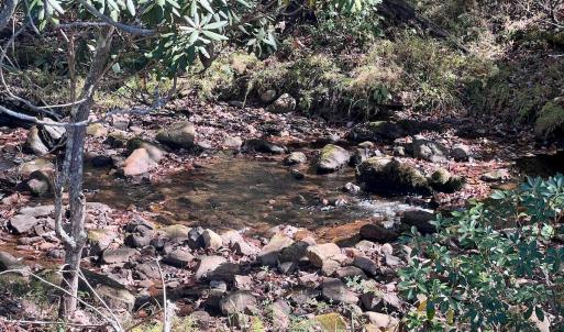 Photo #8 of 1504 Hutchison Rd. New Castle, VA, New Castle , VA 89.0 acres