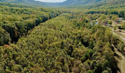 Photo #57 of 1504 Hutchison Rd. New Castle, VA, New Castle , VA 89.0 acres