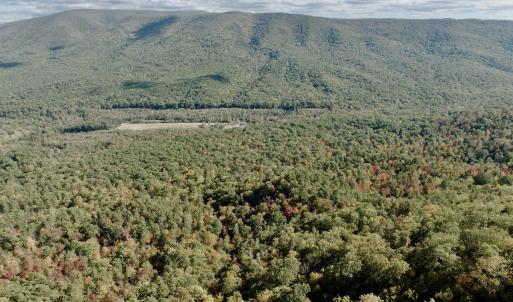 Photo #58 of 1504 Hutchison Rd. New Castle, VA, New Castle , VA 89.0 acres