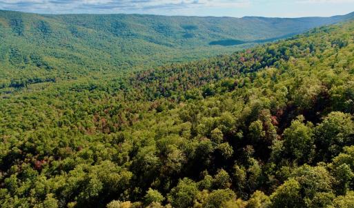 Photo #59 of 1504 Hutchison Rd. New Castle, VA, New Castle , VA 89.0 acres