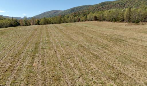 Photo #71 of 1504 Hutchison Rd. New Castle, VA, New Castle , VA 89.0 acres