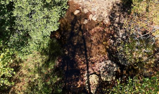 Photo #72 of 1504 Hutchison Rd. New Castle, VA, New Castle , VA 89.0 acres