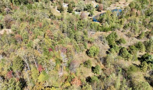 Photo #74 of 1504 Hutchison Rd. New Castle, VA, New Castle , VA 89.0 acres