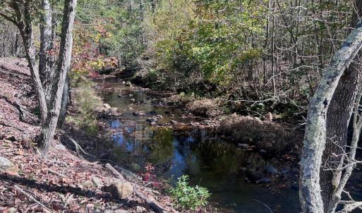 Photo #77 of 1504 Hutchison Rd. New Castle, VA, New Castle , VA 89.0 acres