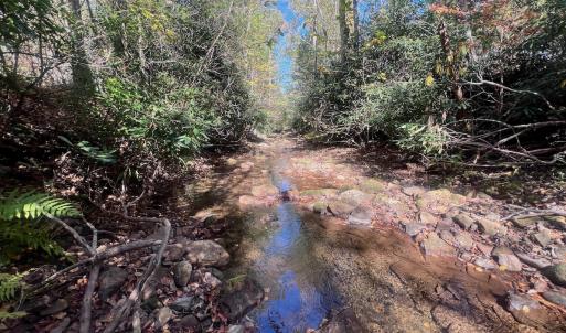 Photo #78 of 1504 Hutchison Rd. New Castle, VA, New Castle , VA 89.0 acres