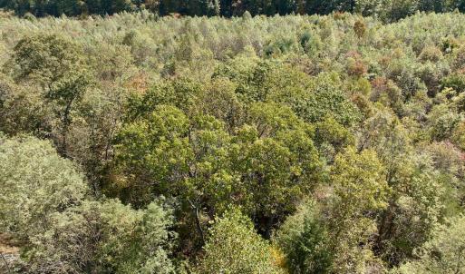 Photo #64 of 1504 Hutchison Rd. New Castle, VA, New Castle , VA 89.0 acres