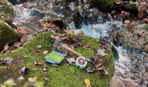 Photo #81 of 1504 Hutchison Rd. New Castle, VA, New Castle , VA 89.0 acres