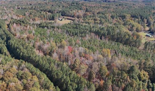 Photo #11 of Off T Tarpey Ln, Sanford, NC 12.6 acres
