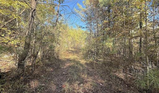 Photo #13 of Off T Tarpey Ln, Sanford, NC 12.6 acres