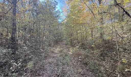 Photo #14 of Off T Tarpey Ln, Sanford, NC 12.6 acres