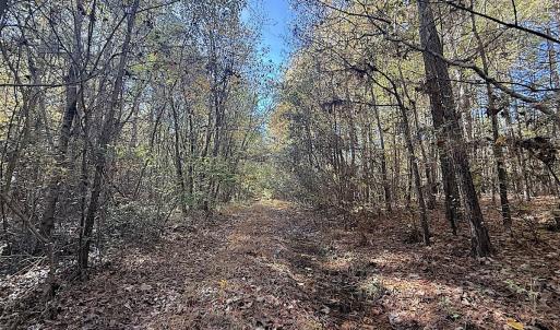 Photo #15 of Off T Tarpey Ln, Sanford, NC 12.6 acres