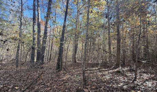 Photo #17 of Off T Tarpey Ln, Sanford, NC 12.6 acres