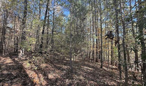 Photo #20 of Off T Tarpey Ln, Sanford, NC 12.6 acres