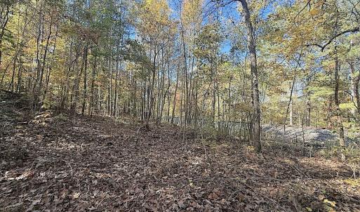 Photo #24 of Off T Tarpey Ln, Sanford, NC 12.6 acres