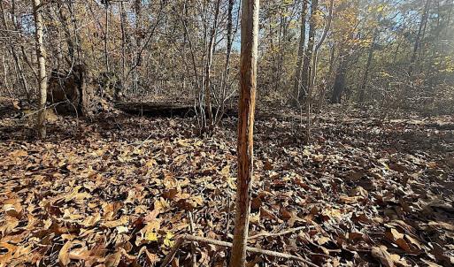 Photo #26 of Off T Tarpey Ln, Sanford, NC 12.6 acres