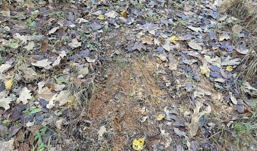 Photo #28 of Off T Tarpey Ln, Sanford, NC 12.6 acres