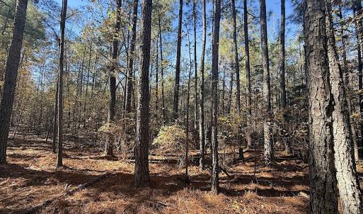 Photo #29 of Off T Tarpey Ln, Sanford, NC 12.6 acres