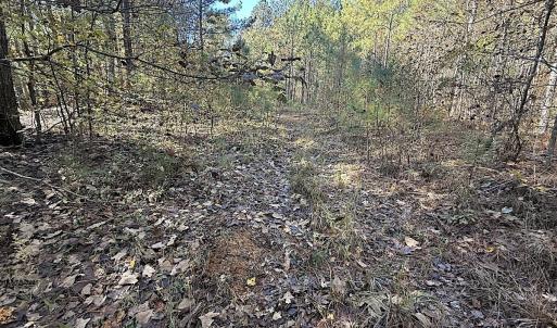 Photo #32 of Off T Tarpey Ln, Sanford, NC 12.6 acres