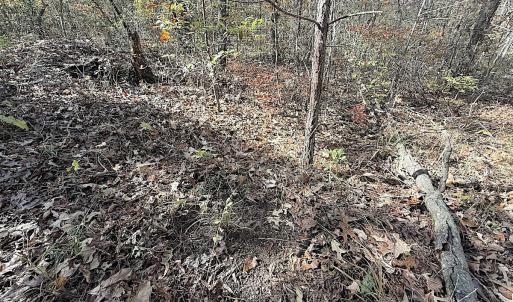 Photo #33 of Off T Tarpey Ln, Sanford, NC 12.6 acres