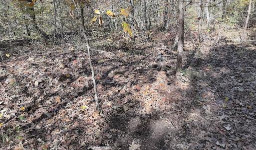 Photo #34 of Off T Tarpey Ln, Sanford, NC 12.6 acres