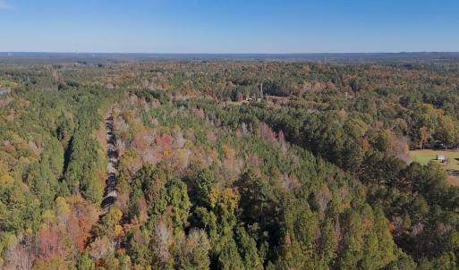 Photo #35 of Off T Tarpey Ln, Sanford, NC 12.6 acres