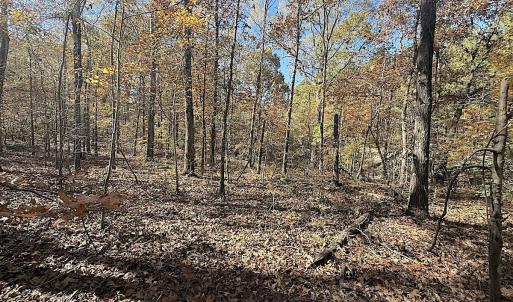 Photo #36 of Off T Tarpey Ln, Sanford, NC 12.6 acres