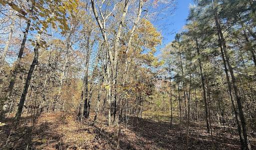 Photo #37 of Off T Tarpey Ln, Sanford, NC 12.6 acres