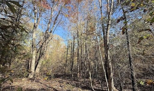 Photo #38 of Off T Tarpey Ln, Sanford, NC 12.6 acres