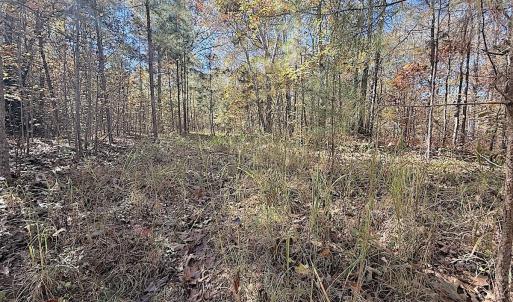 Photo #39 of Off T Tarpey Ln, Sanford, NC 12.6 acres