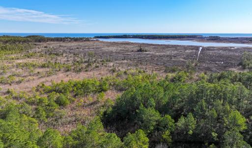 Photo #10 of Off Buzzard point Rd, Diggs, VA 248.1 acres