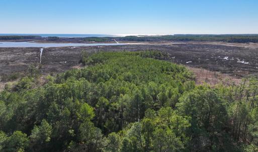 Photo #11 of Off Buzzard point Rd, Diggs, VA 248.1 acres