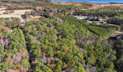 Photo #13 of Off Buzzard point Rd, Diggs, VA 248.1 acres