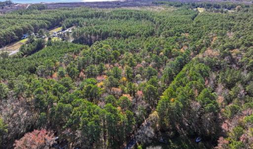 Photo #15 of Off Buzzard point Rd, Diggs, VA 248.1 acres
