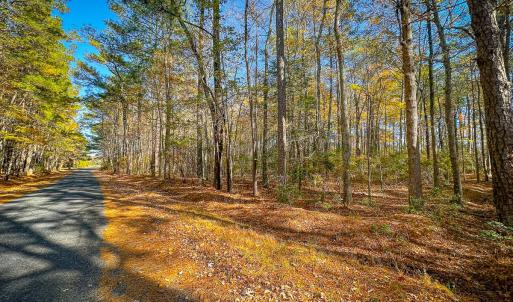 Photo #16 of Off Buzzard point Rd, Diggs, VA 248.1 acres